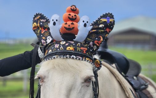 ハロウィーンフォトラリー